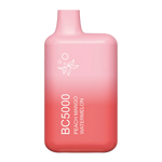 Load image into Gallery viewer, Peach Mango Watermelon ElfBar 5000
