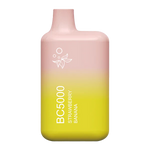 Load image into Gallery viewer, EBCREATE BC5000 Strawberry Banana

