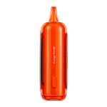 Load image into Gallery viewer, RAZ DC25000 Orange Mango (Fall Edition)
