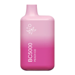 Load image into Gallery viewer, ELFBAR BC5000 Peach Ice
